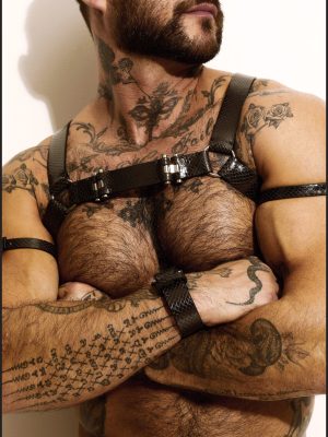 Viper Chest Harness
