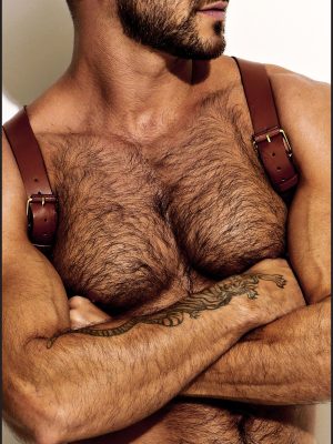 Leather Shoulder Harness